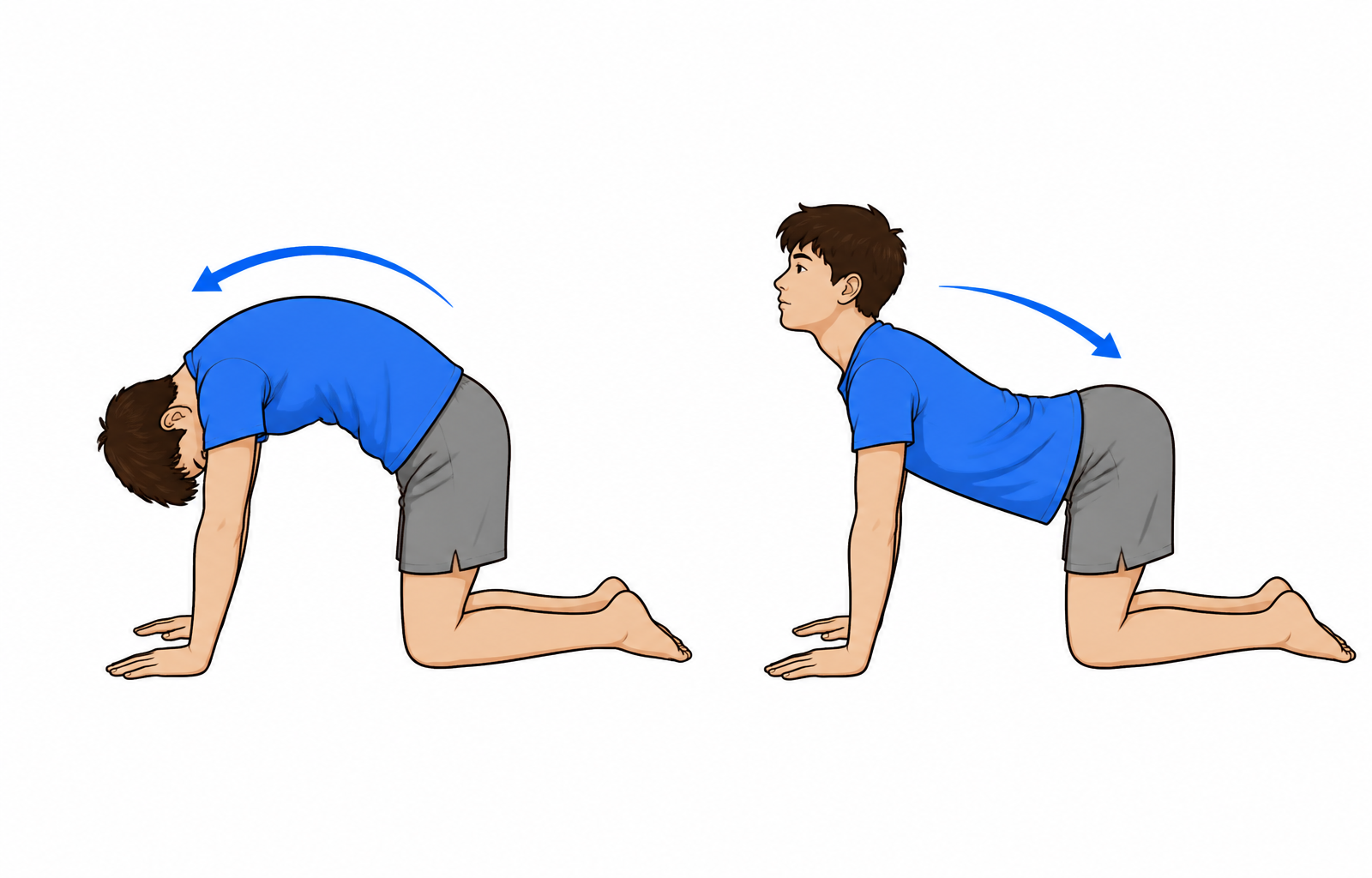 Cat-cow and thoracic rotations