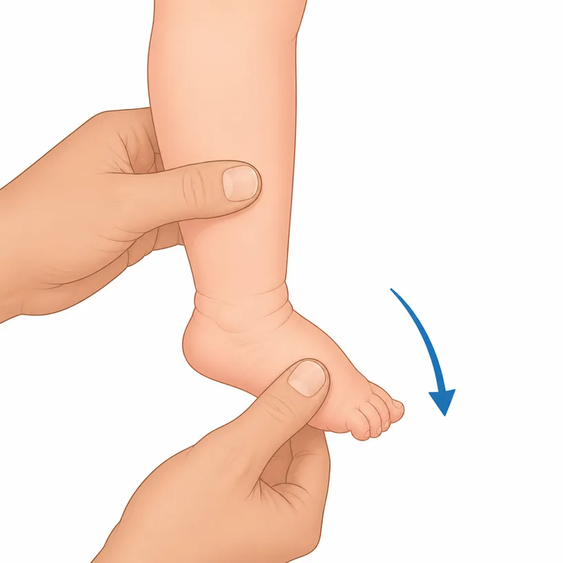Plantarflexion stretch