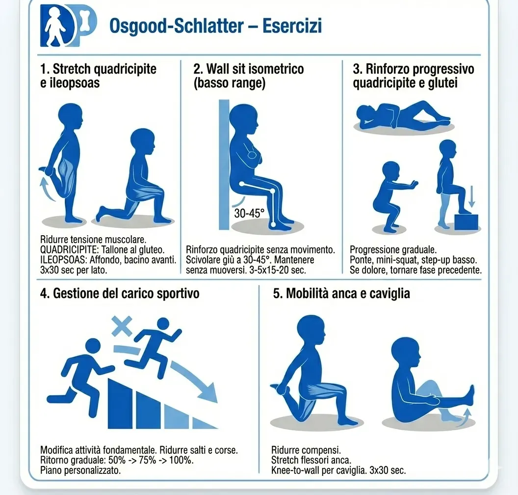 Scheda esercizi per Osgood-Schlatter