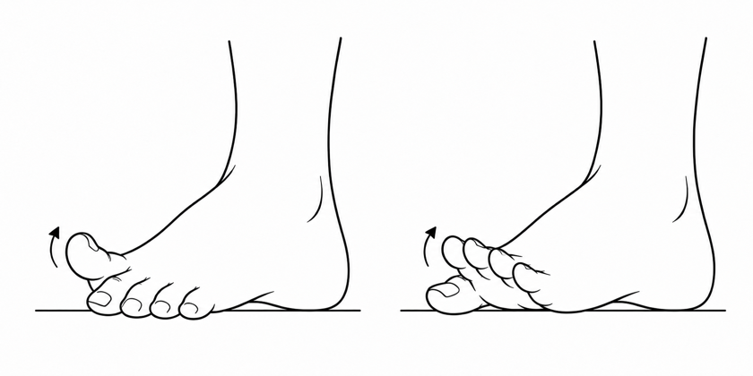 Toe yoga (toe control)